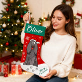 Personalized Christmas Pet Stocking with Name | Cartoon Dog Design