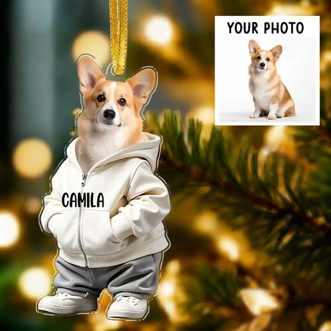 Custom Photo Cool Dog Cat Acrylic Ornament Gift For Pet Lovers