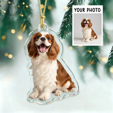 Personalized Acrylic Christmas Ornament with Custom Cat or Dog Photo