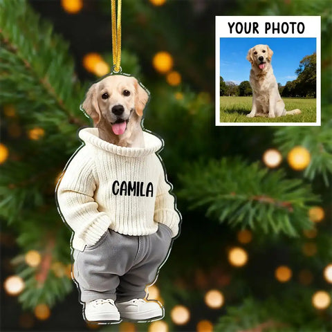 Custom Photo Cool Dog Cat Acrylic Ornament Gift For Pet Lovers