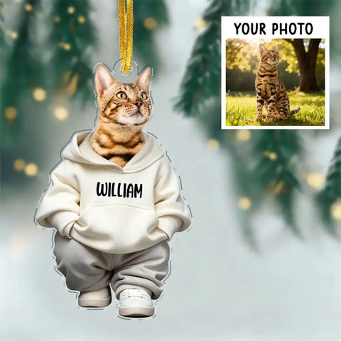 Custom Photo Cool Dog Cat Acrylic Ornament Gift For Pet Lovers