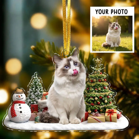 Custom Photo Dog and Cat Christmas Acrylic Ornament